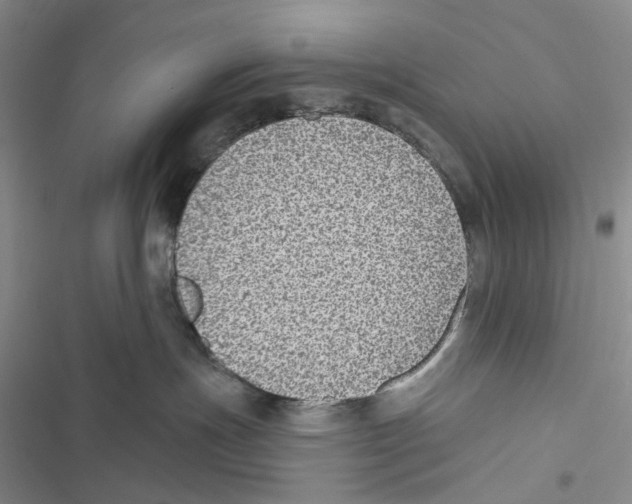 X0000116890191201001191813