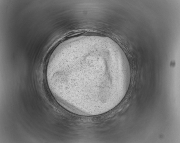 X0000116890194201001191812