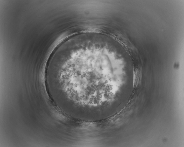 X0000116890195201001191812