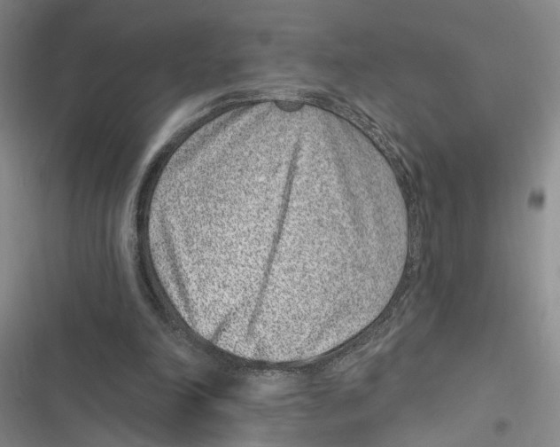 X0000116890198201001191812