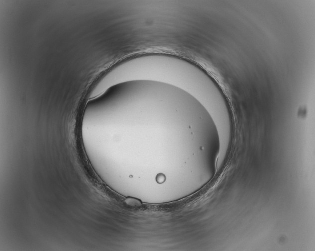 X0000116890201201001191812