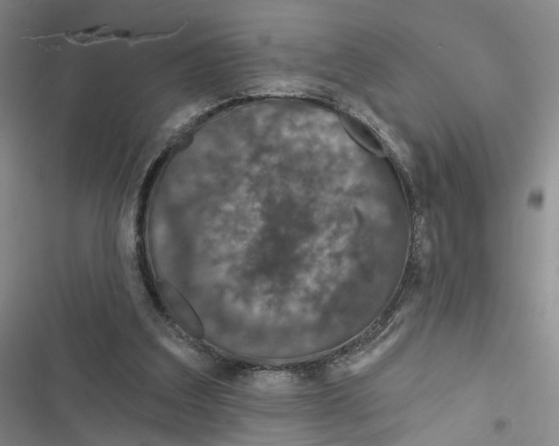 X0000116890203201001191812