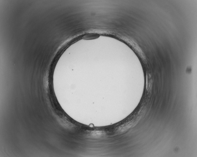 X0000116890204201001191812