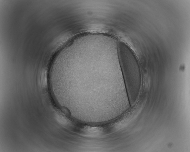 X0000116890205201001191812