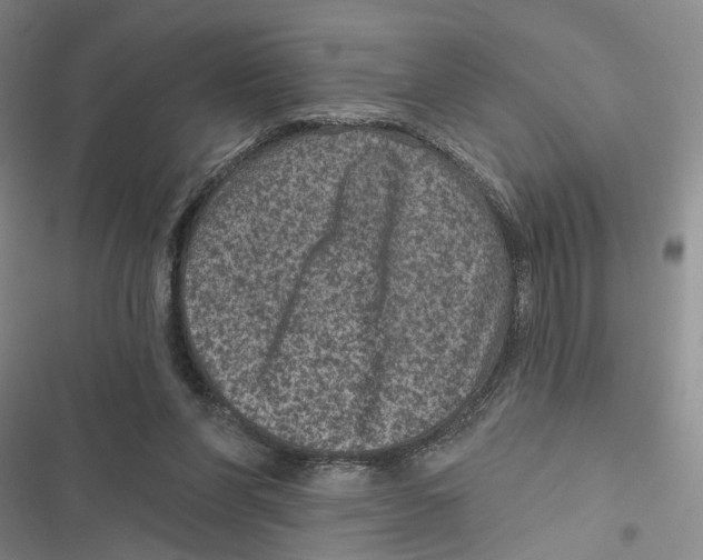 X0000116890206201001191812