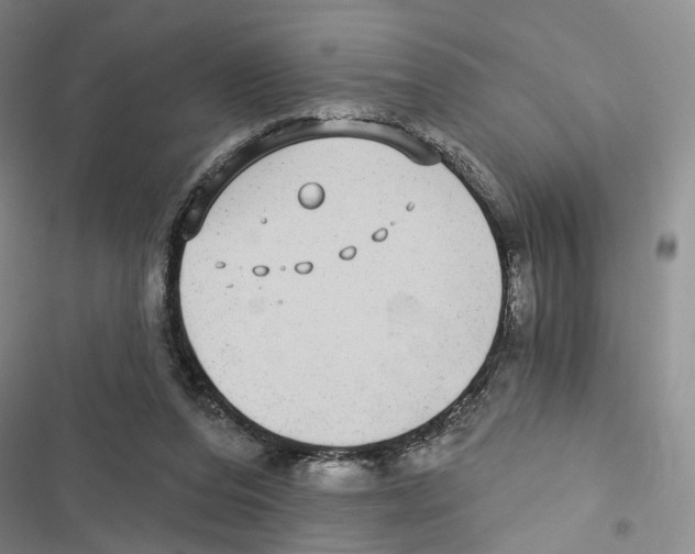 X0000116890208201001191812