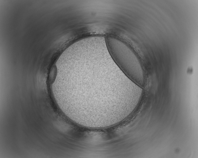 X0000116890209201001191812