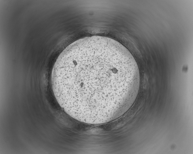 X0000116890210201001191812