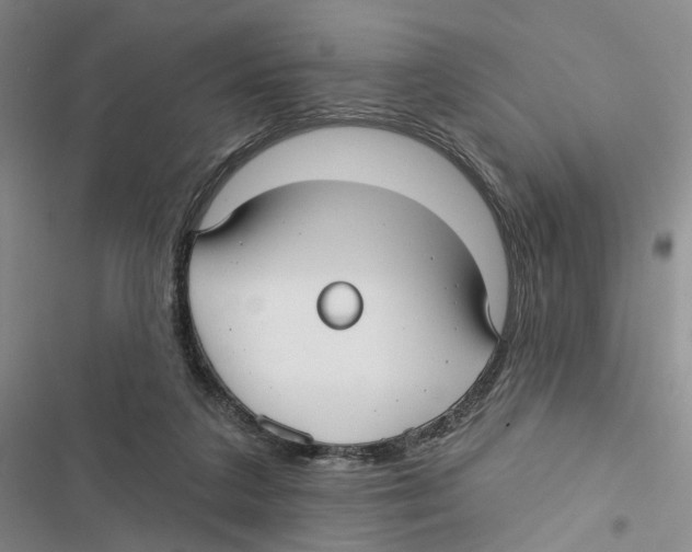 X0000116890211201001191812