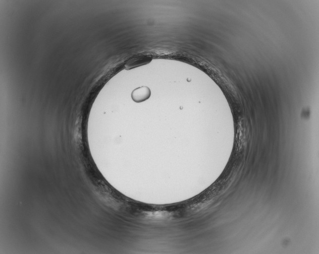 X0000116890212201001191812