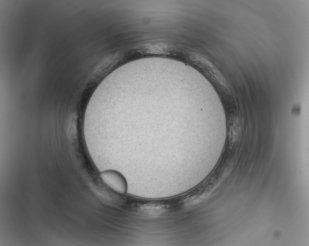 X0000116890213201001191812