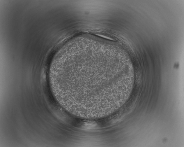 X0000116890214201001191812