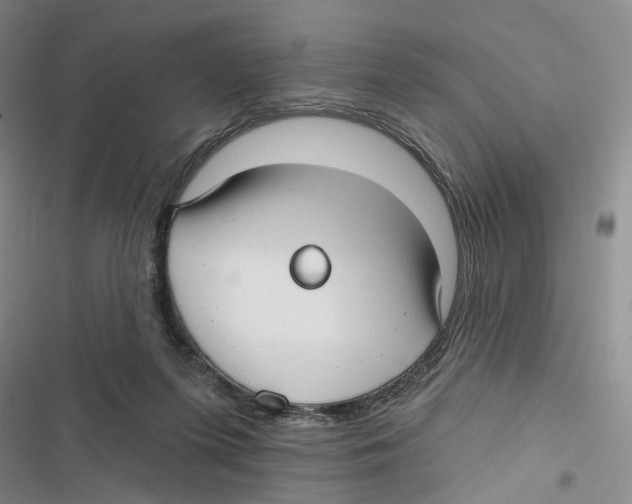 X0000116890215201001191812