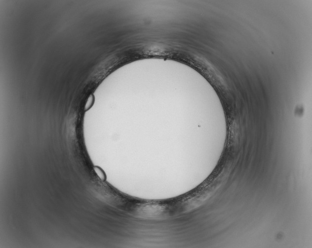 X0000116890217201001191812