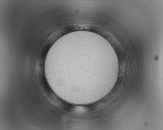 X0000116890218201001191812