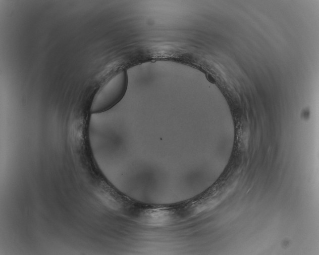 X0000116890219201001191812