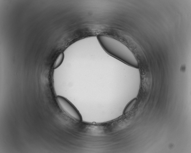 X0000116890221201001191812