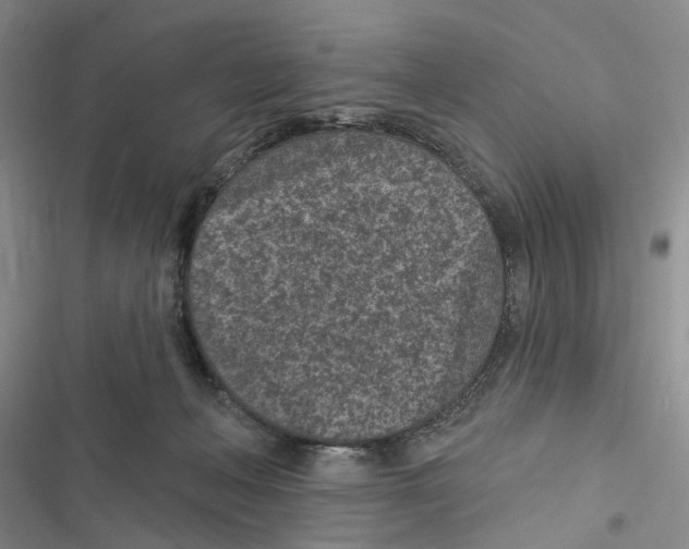 X0000116890222201001191812