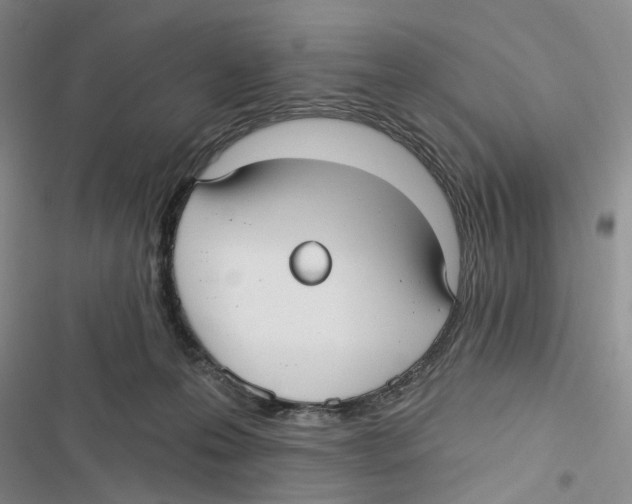 X0000116890223201001191812