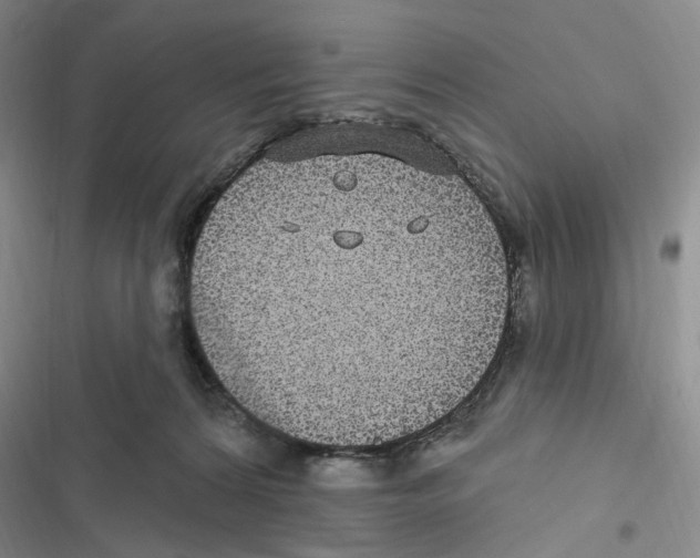 X0000116890224201001191812