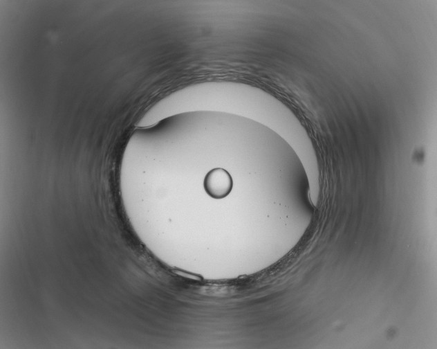 X0000116890225201001191812