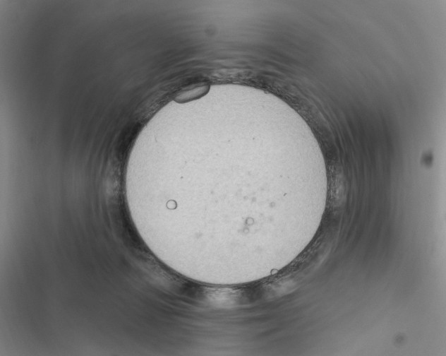 X0000116890226201001191812