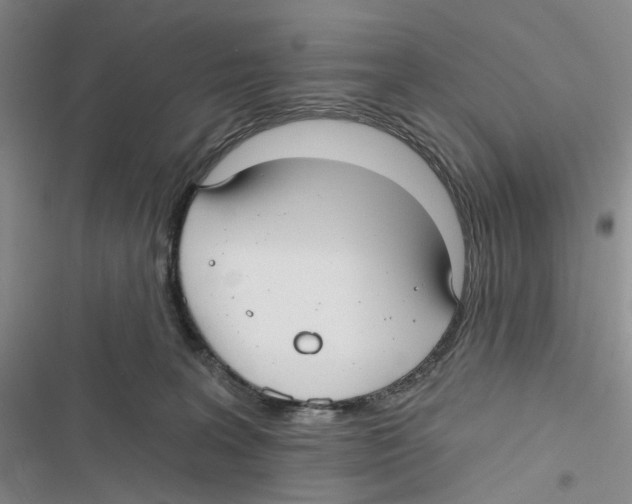 X0000116890227201001191812