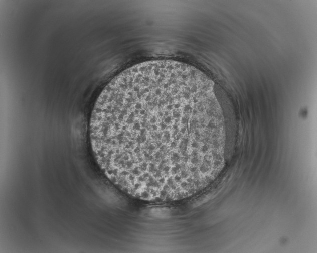 X0000116890228201001191812