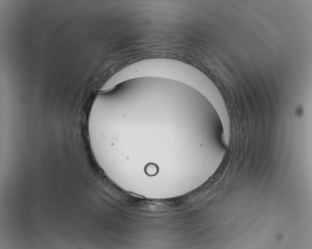 X0000116890229201001191812