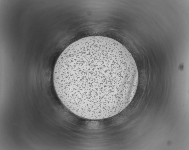 X0000116890230201001191812