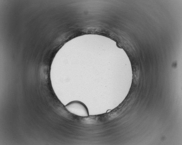 X0000116890232201001191812