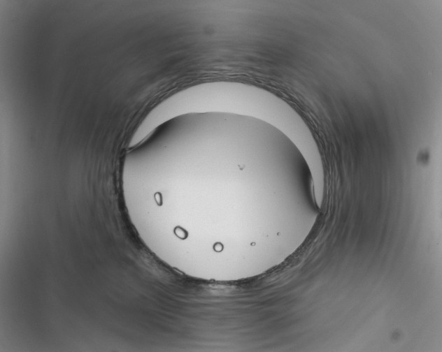 X0000116890233201001191812