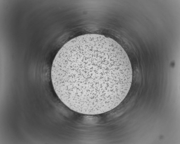 X0000116890234201001191812