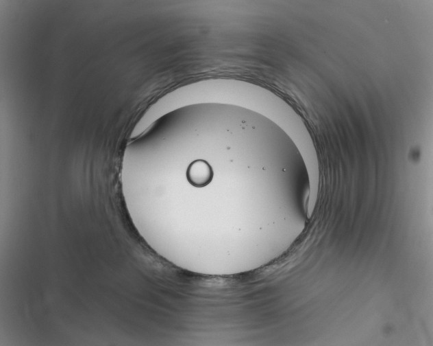 X0000116890237201001191812