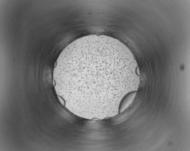 X0000116890238201001191812