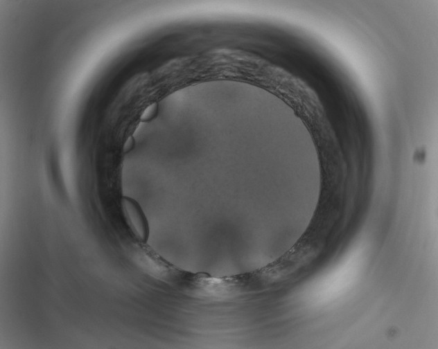 X0000116890239201001191812