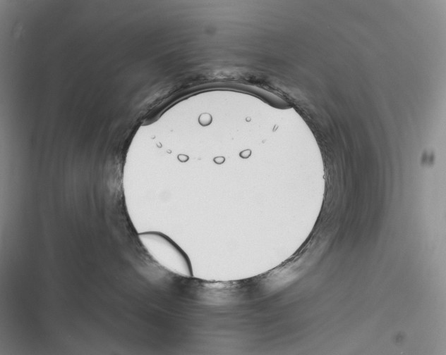 X0000116890240201001191812