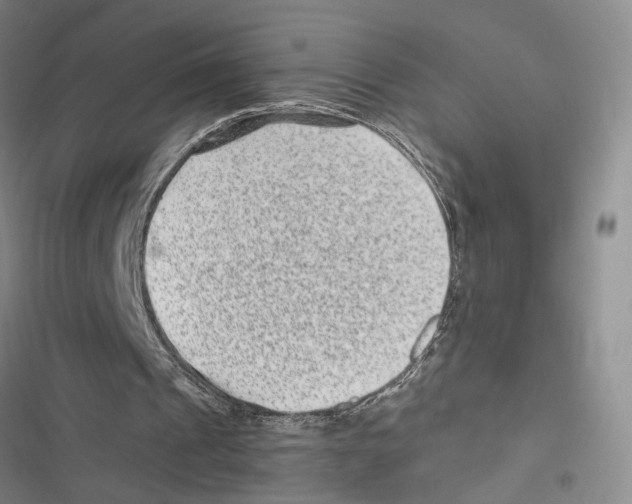 X0000116890241201001191811