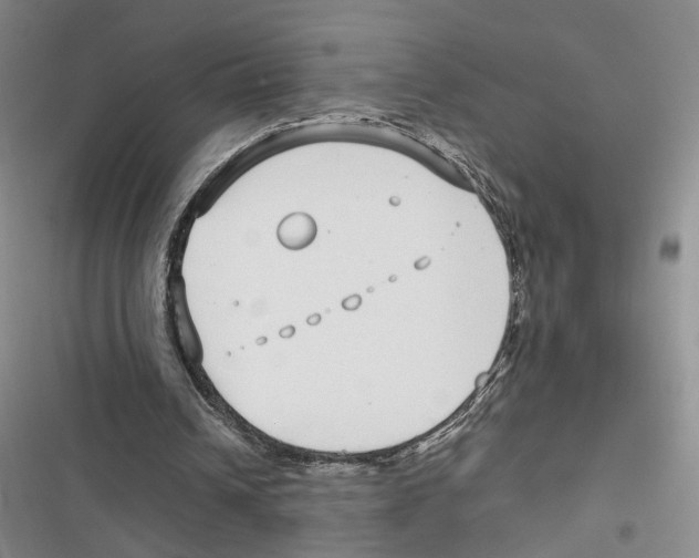 X0000116890242201001191811