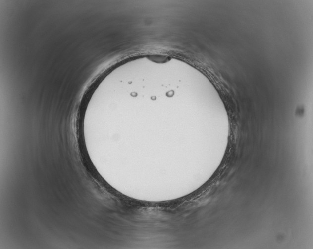 X0000116890244201001191811