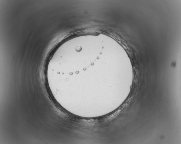 X0000116890245201001191811