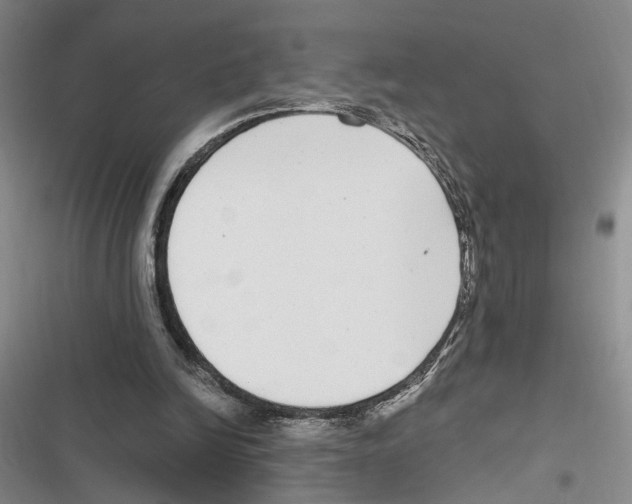 X0000116890246201001191811