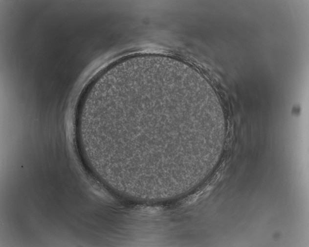 X0000116890247201001191811