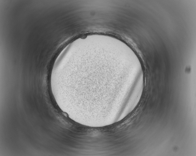 X0000116890249201001191811