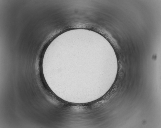 X0000116890250201001191811