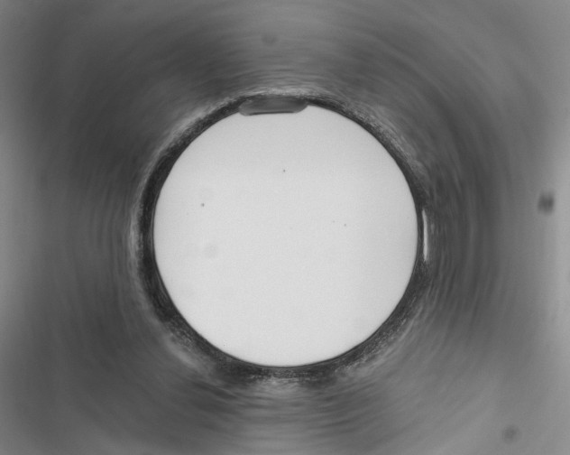 X0000116890252201001191811