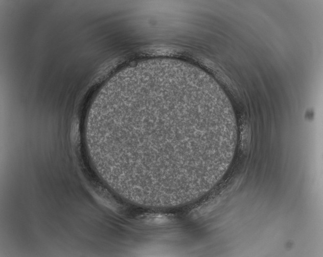 X0000116890254201001191811