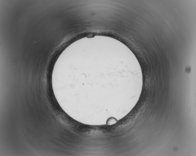 X0000116890256201001191811