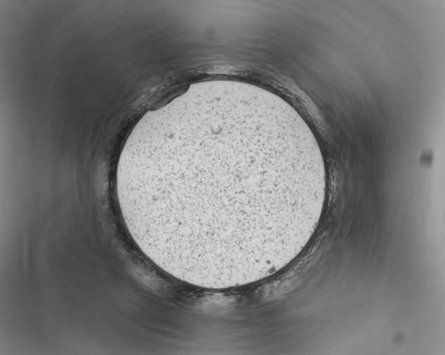 X0000116890257201001191811