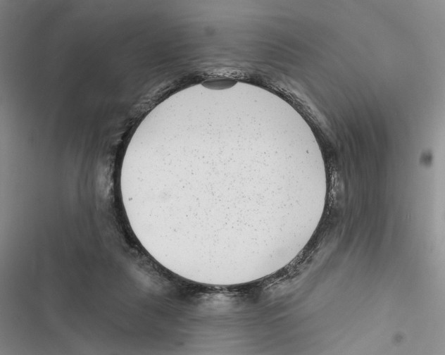 X0000116890259201001191811